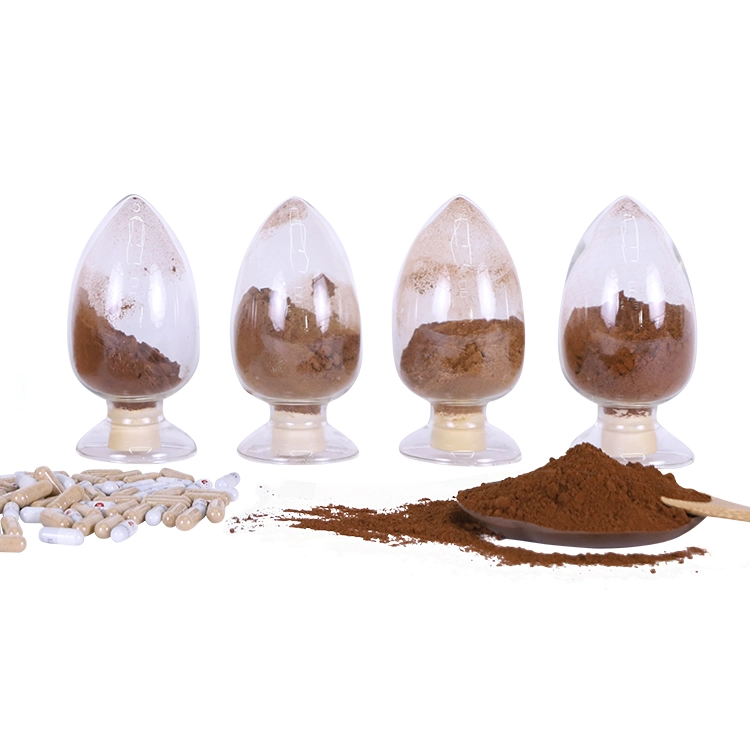 what is mushroom extract?