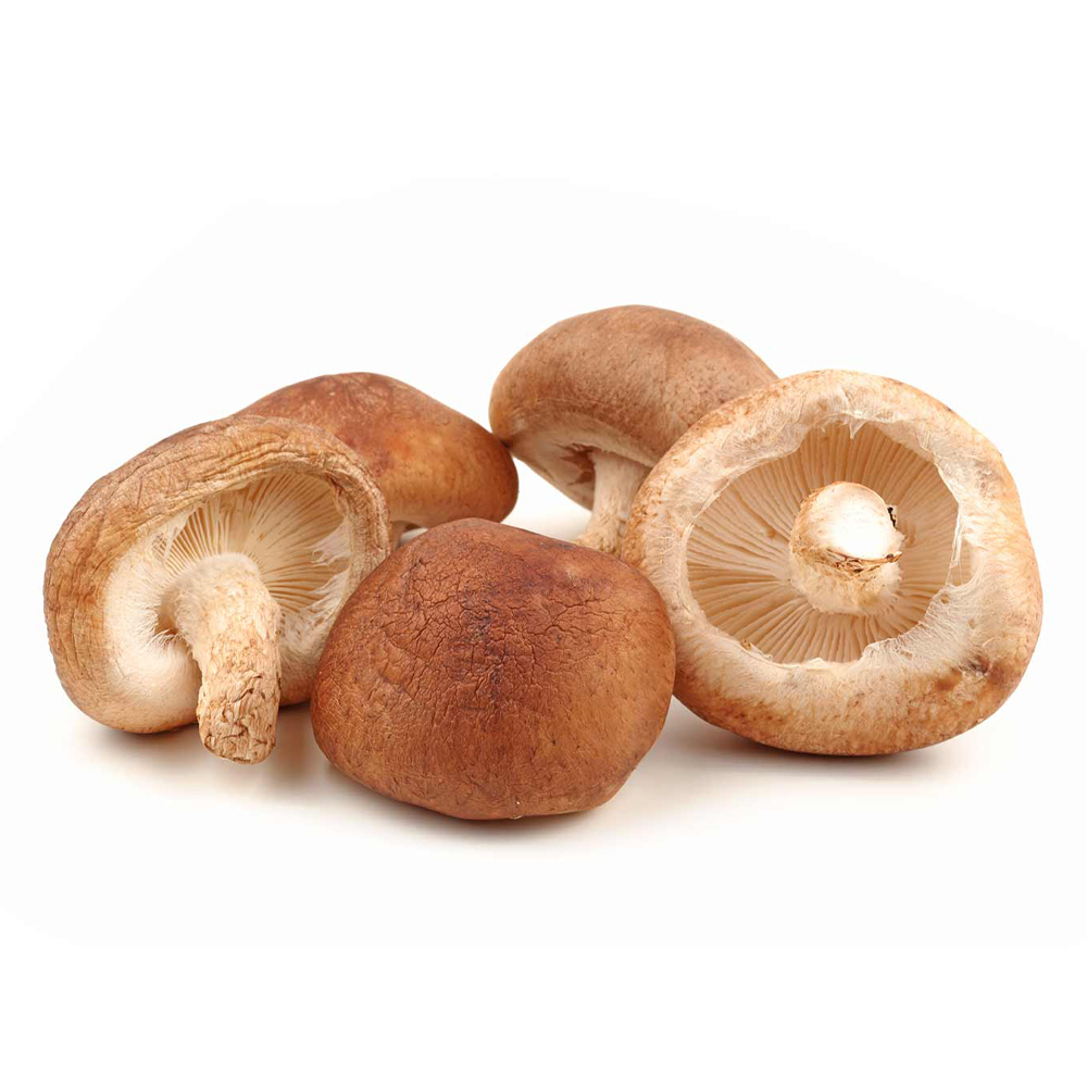 Organic Shiitake Mushroom Powder 20% Polysaccharide