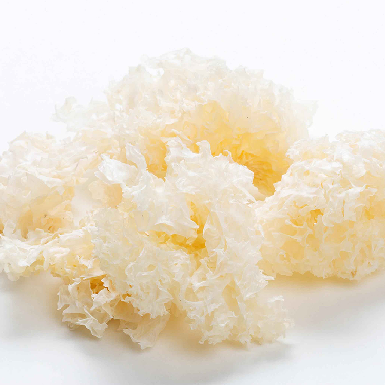 Tremella Mushroom Supplement: Powerful Detox & Anti-Cancer Formula